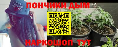 ALPHA PVP Малгобек