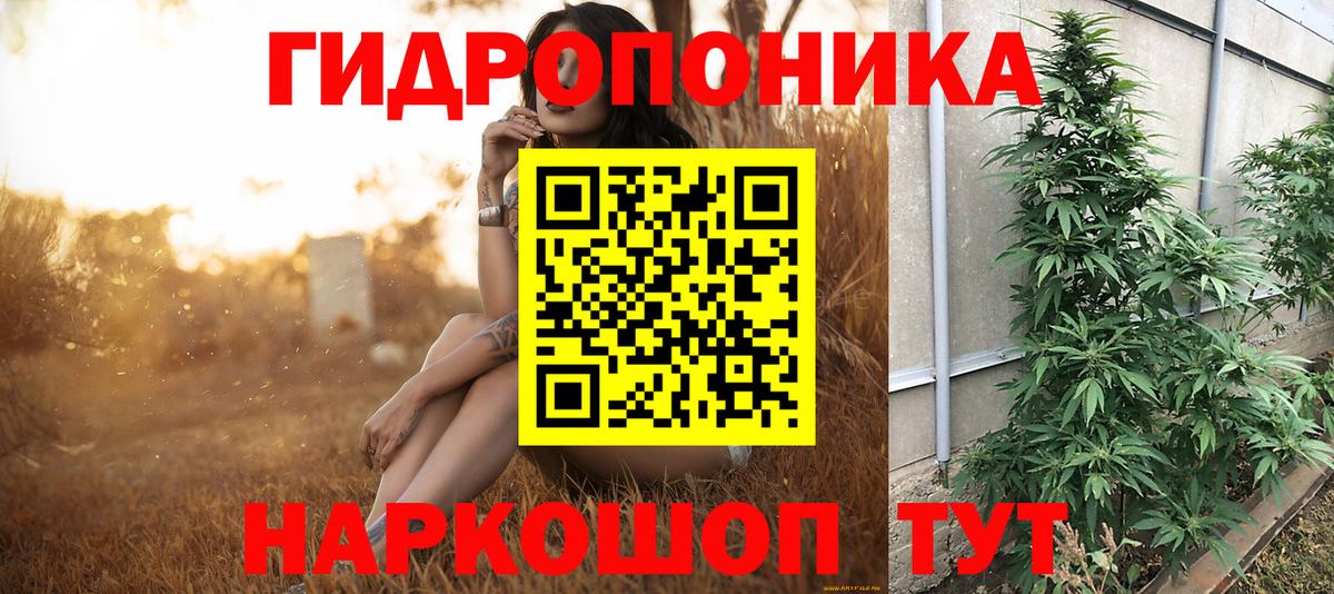 Бошки марихуана марихуана Городец